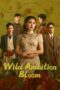 Wild Ambition Bloom (2025) Wild Ambition Bloom (2025)