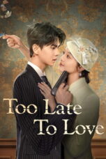 Too Late to Love (2025)