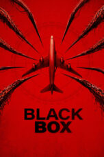 Black Box Flight 298 (2026)